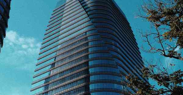 大数据监督作用