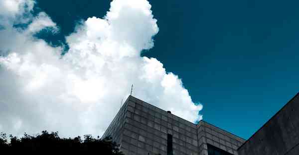 与chatgpt的爱情对话