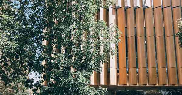 官方对chatgpt的态度