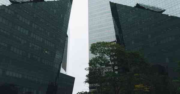 人工智能机器人搬家：革新行业的力量