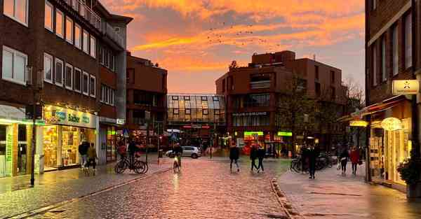 人工智能机器人搬家：革新行业的力量