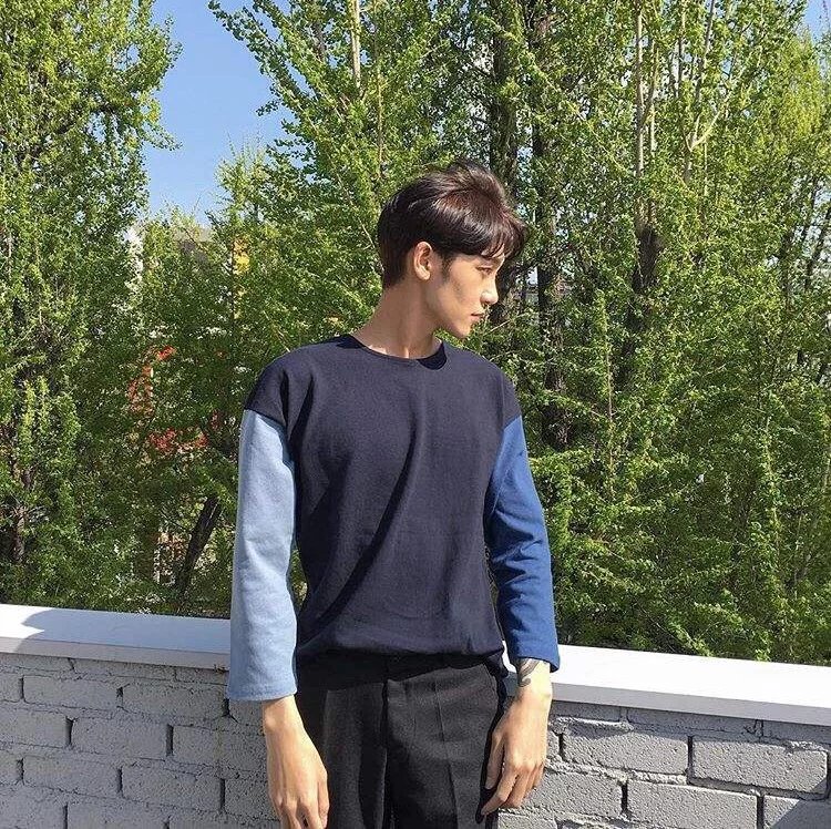 左洋丽军