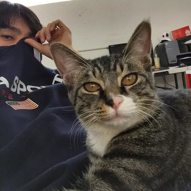 秦坚露娇