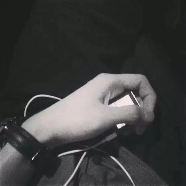 费珊韵韵